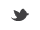 Twitter Icon